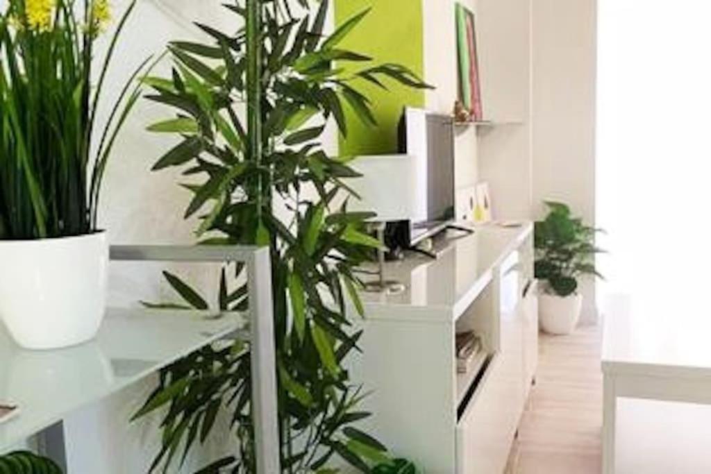 Apartamento Modern Oscvict En Murcia Múrcia Exterior foto